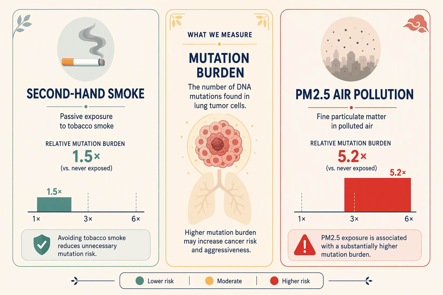 Illustration for Comparing Carcinogenic Risks: Why Outdoor Air Pollution Outweighs Second-Hand Smoke
