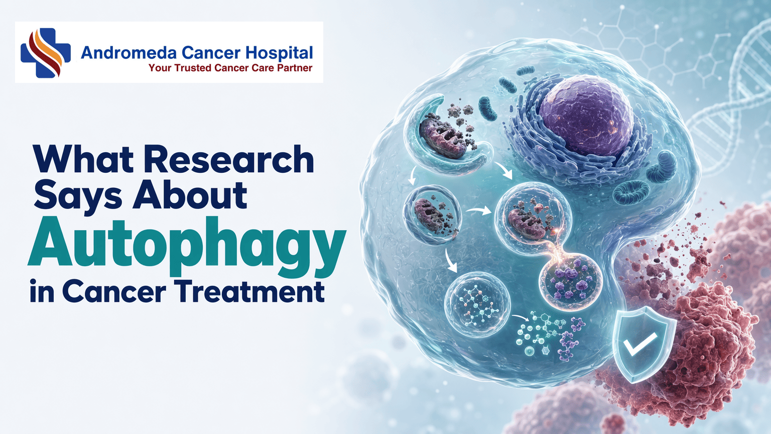 What Research Says About Autophagy in Cancer Treatment